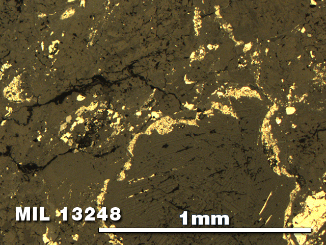 Thin Section Photo of Sample MIL 13248 in Reflected Light with 5X Magnification