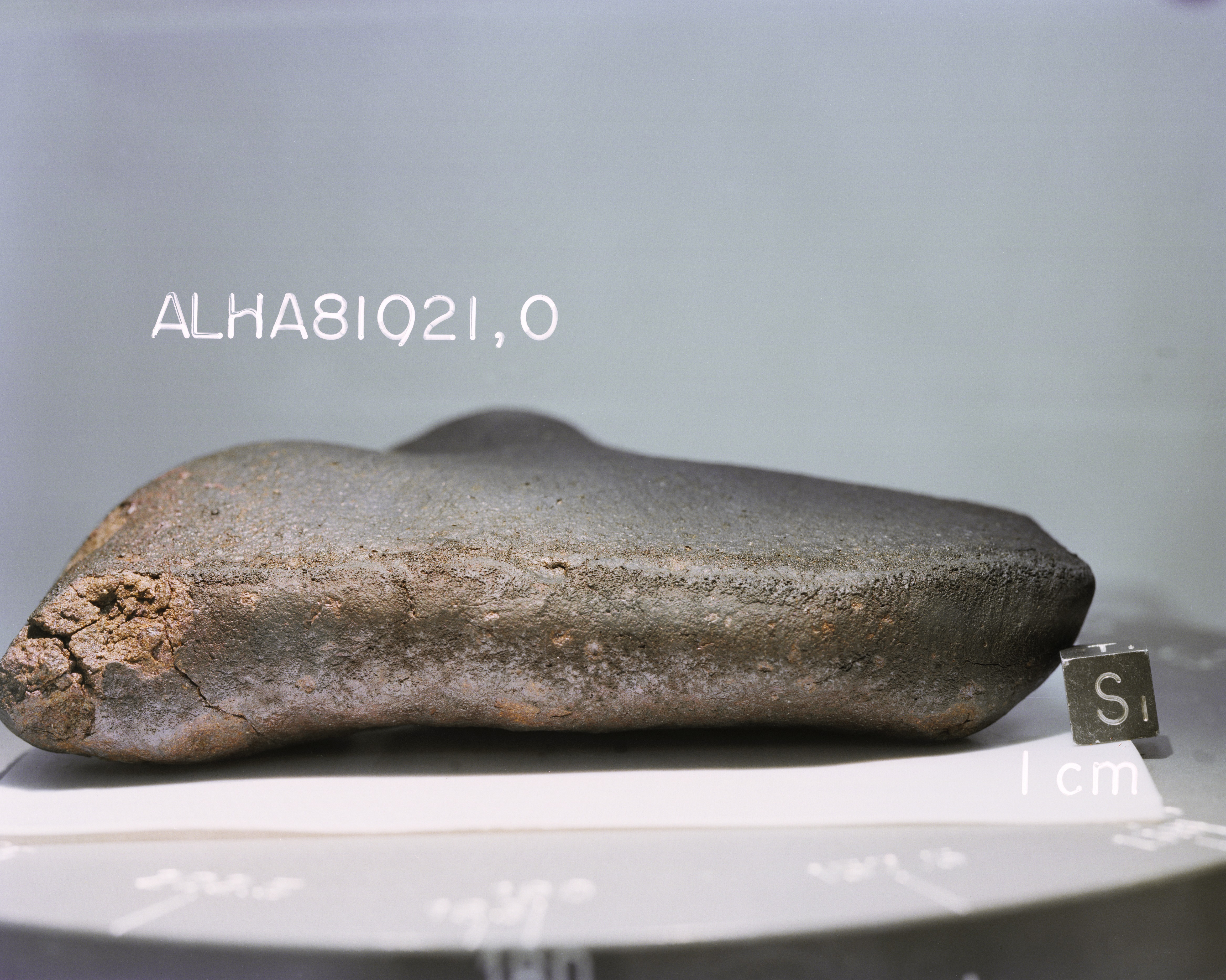 South View of Sample ALHA81021 (Photo Number: s82-39971)