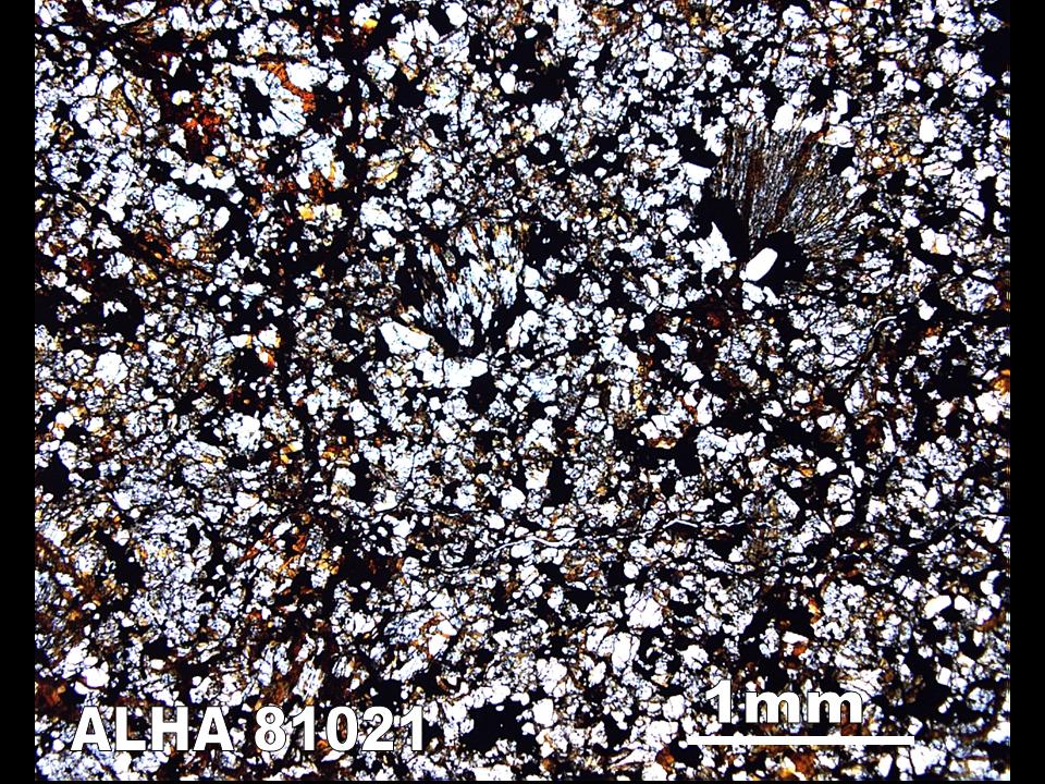 Thin Section Photo of Sample ALH A81021 in Plane-Polarized Light