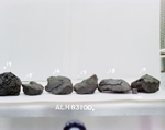 C1. Lab Photo of Sample ALH 83100 (Photo Number s86-28542)