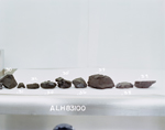 C9. Lab Photo of Sample ALH 83100 (Photo Number s86-28550)