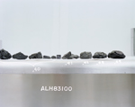 D3. Lab Photo of Sample ALH 83100 (Photo Number s86-28551)