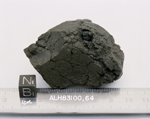 F1. Lab Photo of Sample ALH 83100 (Photo Number s86-28552)