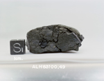 D7. Lab Photo of Sample ALH 83100 (Photo Number s86-28558)