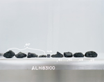 D4. Lab Photo of Sample ALH 83100 (Photo Number s86-28569)