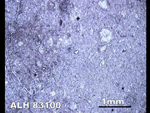 Thin Section Photo of Sample ALH 83100 in Reflected Light