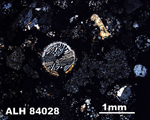 Thin Section Photo of Sample ALH 84028 in Cross-Polarized Light