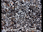 Thin Section Photo of Sample ALH A81021 in Plane-Polarized Light