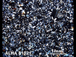 Thin Section Photo of Sample ALH A81021 in Cross-Polarized Light