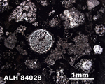 Thin Section Photograph of Sample ALH 84028 in Plane-Polarized Light