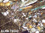 Thin Section Photograph of Sample ALHA78040 in Cross-Polarized Light