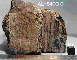 Martian Orthopyroxenite ALH 84001