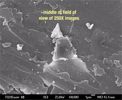Secondary electron image of embedded fragments