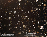 DOM 08004 Meteorite Thin Section Photo with 2.5x magnification in Plane-Polarized Light