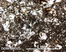 DOM 08005 Meteorite Thin Section Photo with 5x magnification in Plane-Polarized Light