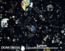DOM 08006 Meteorite Thin Section Photo with 5x magnification in Cross-Polarized Light