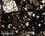 GRA 06178 Meteorite Thin Section Photo with 2.5x magnification in Plane-Polarized Light