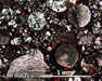 LAR 06626 Meteorite Thin Section Photo with 5x magnification in Cross-Polarized Light