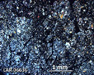 LAR 06636 Meteorite Thin Section Photo with 2.5x magnification in Cross-Polarized Light