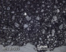 MIL 07555 Meteorite Thin Section Photo with 2.5x magnification in Reflected Light