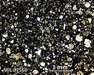 MIL 07560 Meteorite Thin Section Photo with 2.5x magnification in Plane-Polarized Light
