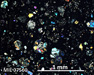 MIL 07560 Meteorite Thin Section Photo with 5x magnification in Cross-Polarized Light