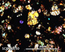 SCO 06030 Meteorite Thin Section Photo with 5x magnification in Cross-Polarized Light