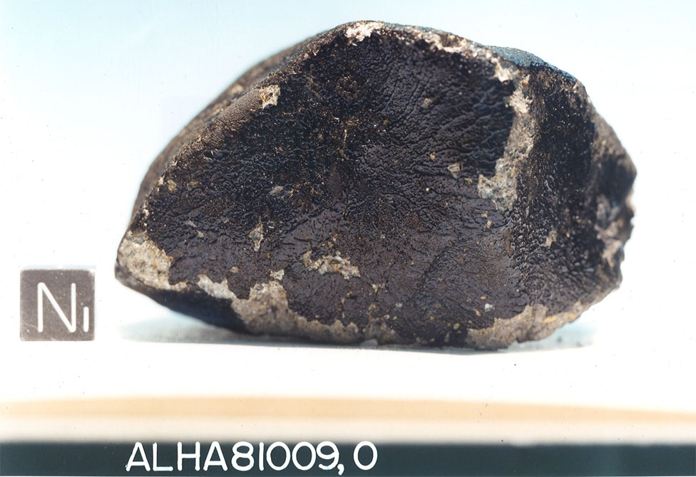 North View of Sample ALHA81009
