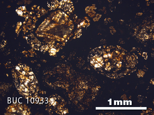 Thin Section Photo of Sample BUC 10933 in Plane-Polarized Light with 2.5X Magnification