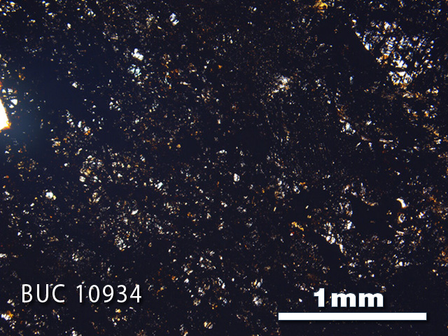 Thin Section Photograph of Sample BUC 10934 in Plane-Polarized Light