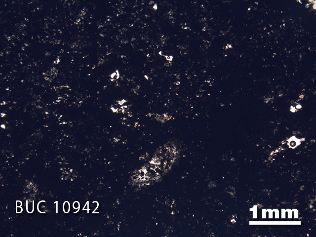 Thin Section Photo of Sample BUC 10942 in Plane-Polarized Light with 1.25X Magnification