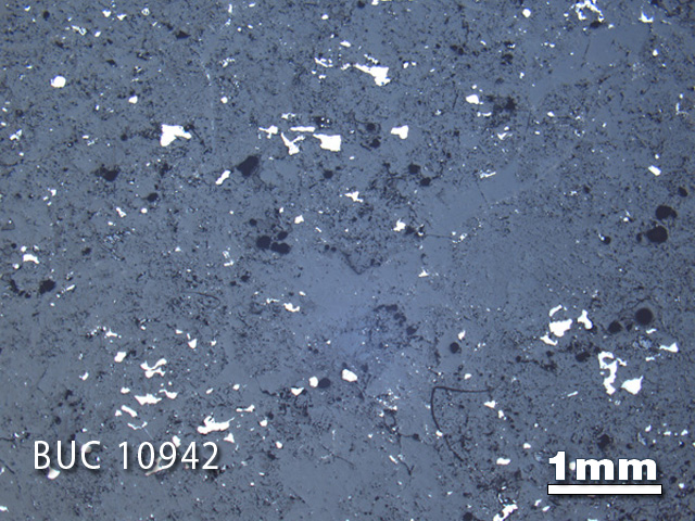 Thin Section Photo of Sample BUC 10942 in Reflected Light with 1.25X Magnification