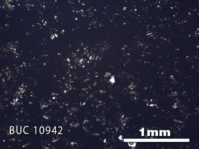 Thin Section Photo of Sample BUC 10942 in Plane-Polarized Light with 2.5X Magnification