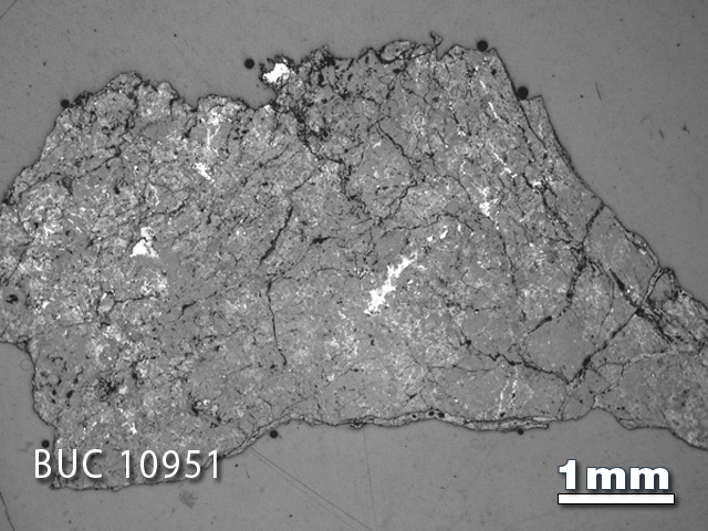 Thin Section Photograph of Sample BUC 10951 in Reflected Light