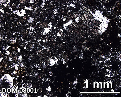 Thin Section Photograph of Sample DOM 08001 in Plane-Polarized Light