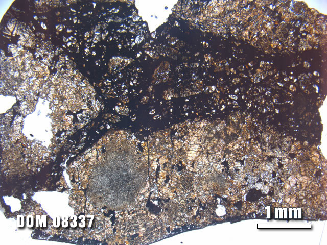 Thin Section Photo of Sample DOM 08337 at 1.25X Magnification in Plane-Polarized Light
