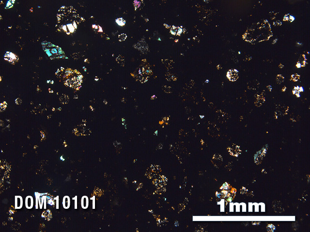 Thin Section Photo of Sample DOM 10101 in Cross-Polarized Light with 2.5X Magnification