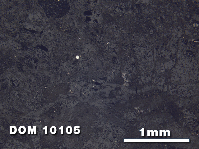 Thin Section Photo of Sample DOM 10105 at 2.5X Magnification in Reflected Light