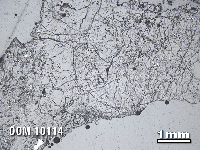 Thin Section Photo of Sample DOM 10114 in Reflected Light with 1.25X Magnification