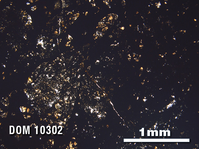 Thin Section Photo of Sample DOM 10302 in Plane-Polarized Light with 2.5X Magnification