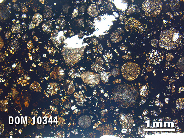 Thin Section Photo of Sample DOM 10344 in Plane-Polarized Light with 1.25X Magnification