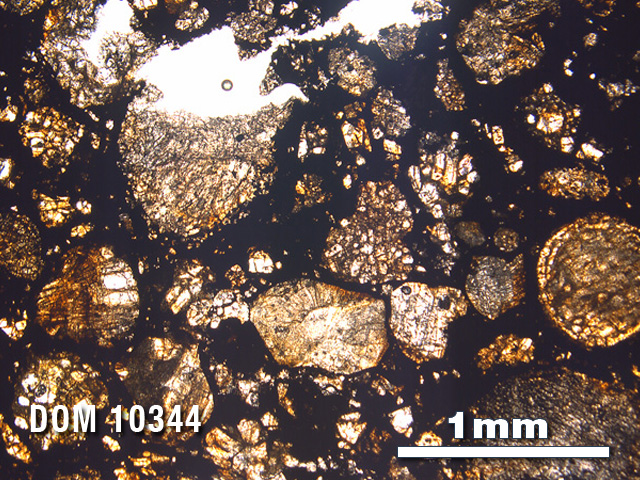 Thin Section Photo of Sample DOM 10344 in Plane-Polarized Light with 2.5X Magnification