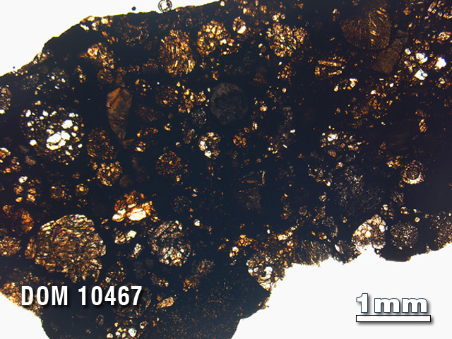 Thin Section Photo of Sample DOM 10467 in Plane-Polarized Light with 1.25X Magnification