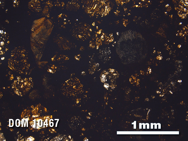 Thin Section Photo of Sample DOM 10467 in Plane-Polarized Light with 2.5X Magnification