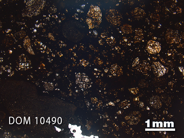 Thin Section Photo of Sample DOM 10490 in Plane-Polarized Light with 1.25x Magnification