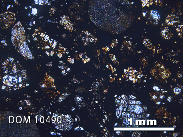 Thin Section Photo of Sample DOM 10490 in Plane-Polarized Light with 2.5x Magnification