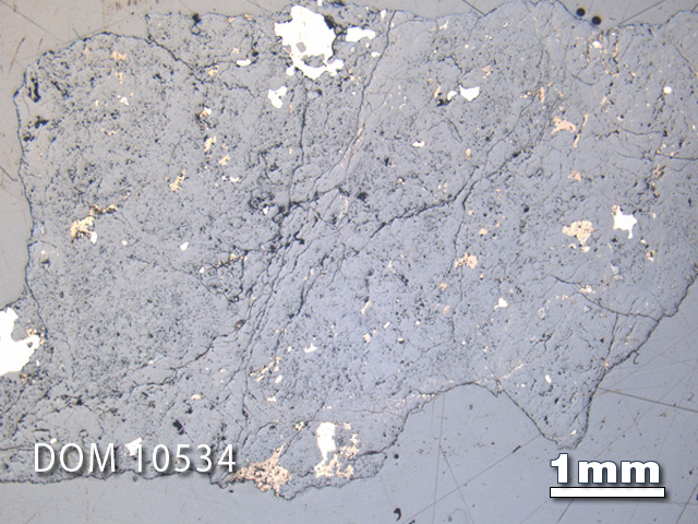 Thin Section Photo of Sample DOM 10534 in Reflected Light with 1.25X Magnification