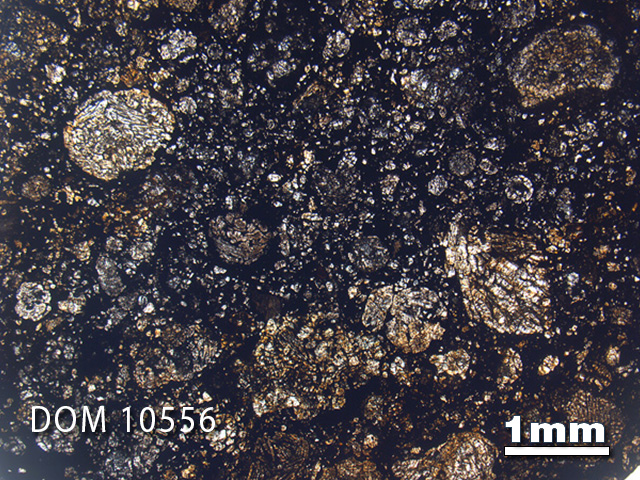 Thin Section Photo of Sample DOM 10556 in Plane-Polarized Light with 1.25x Magnification