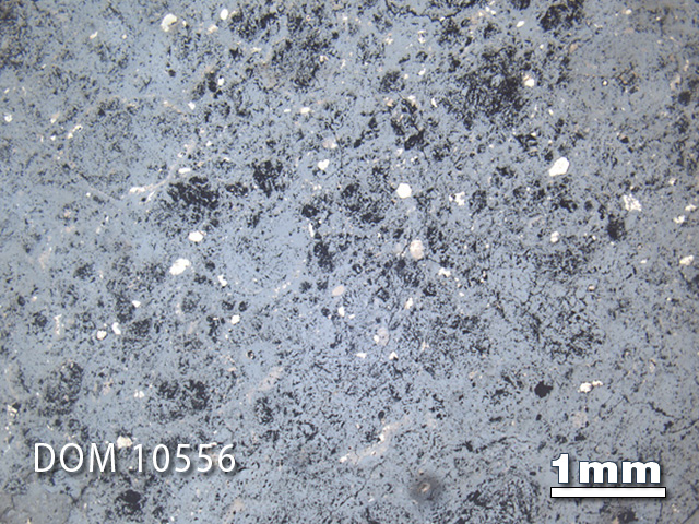 Thin Section Photo of Sample DOM 10556 in Reflected Light with 1.25x Magnification