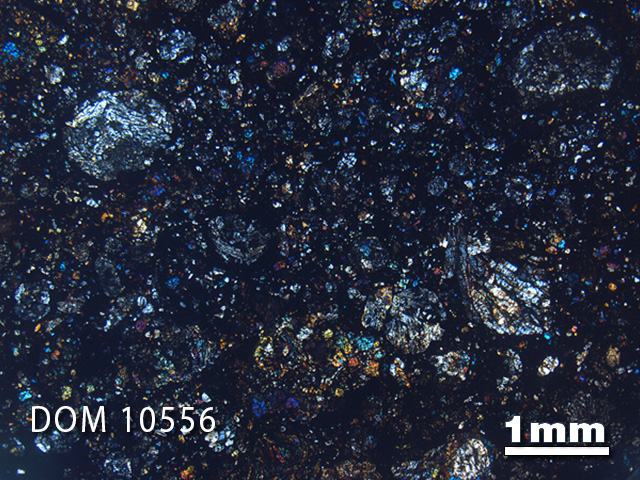 Thin Section Photo of Sample DOM 10556 in Cross-Polarized Light with 1.25x Magnification